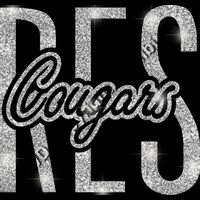 GLT95 SILVER GLITTER Thumbnail