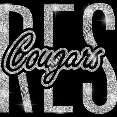 GLT95 SILVER GLITTER Thumbnail